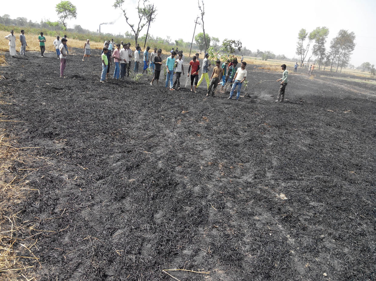 Wheat crop of Seven farmers burnt