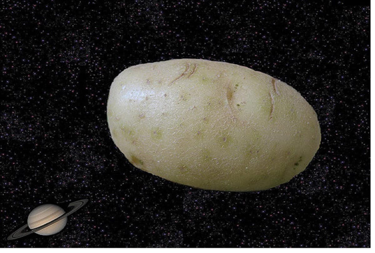 China will grow potato and flowers on the moon, first attempt to do this