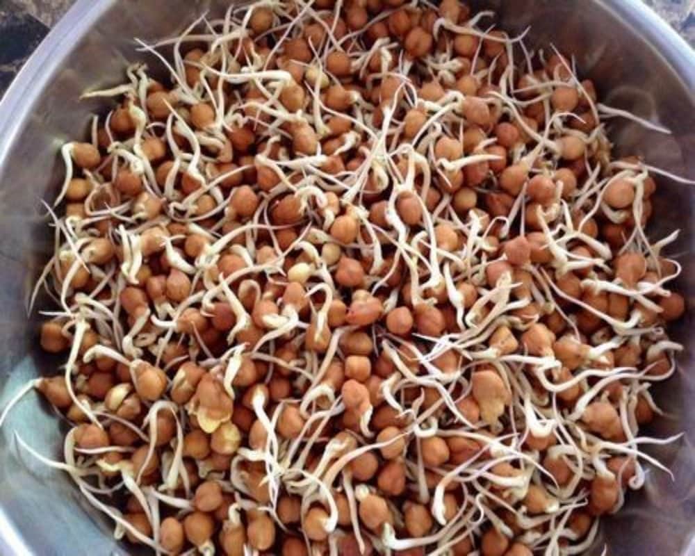 Health benefits of sprouted black gram for men