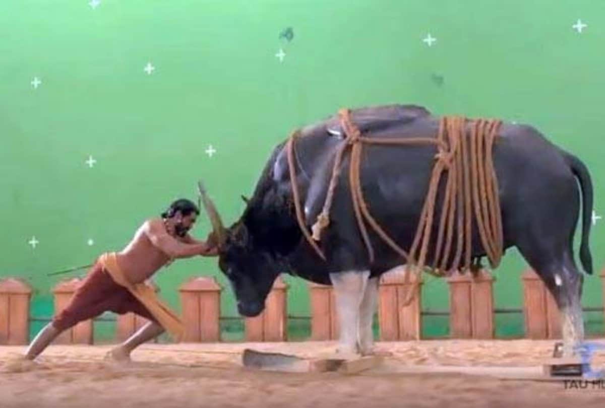 baahubali bull fight scene shot with vfx effect