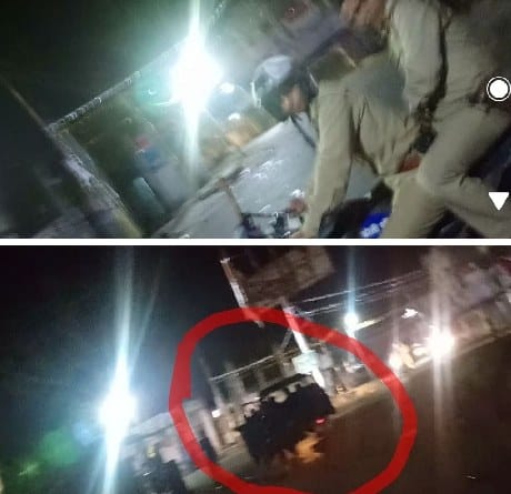 Police remain spectator while public follows animal smuggler