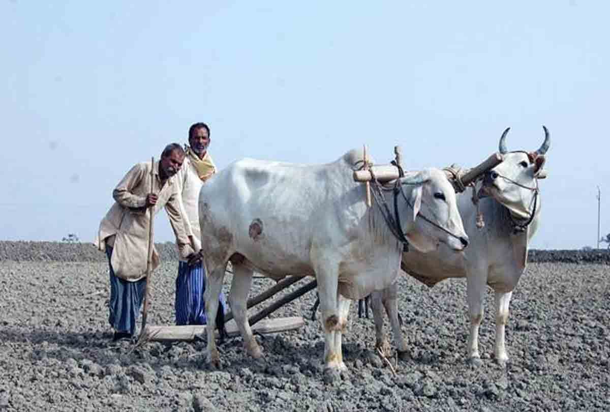 up cm yogi adityanath Immense potential for tourism in Bundelkhand