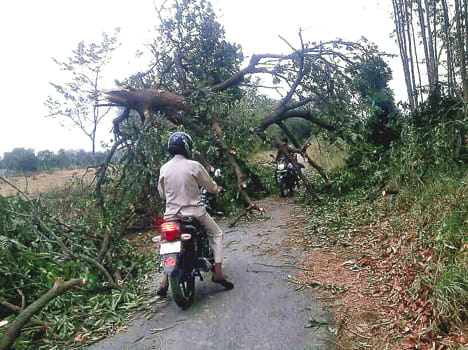 Trouble on farmers' expectations