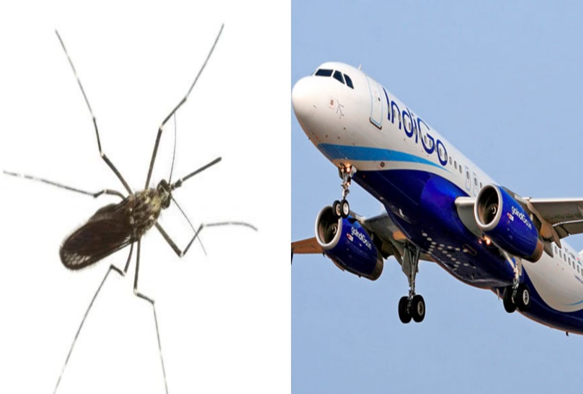 passengers are facing problems in plane
