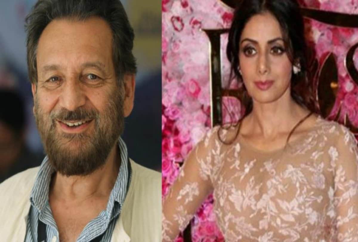shekhar Kapur birthday special he was against To Pick Sridevis Name For National Awards