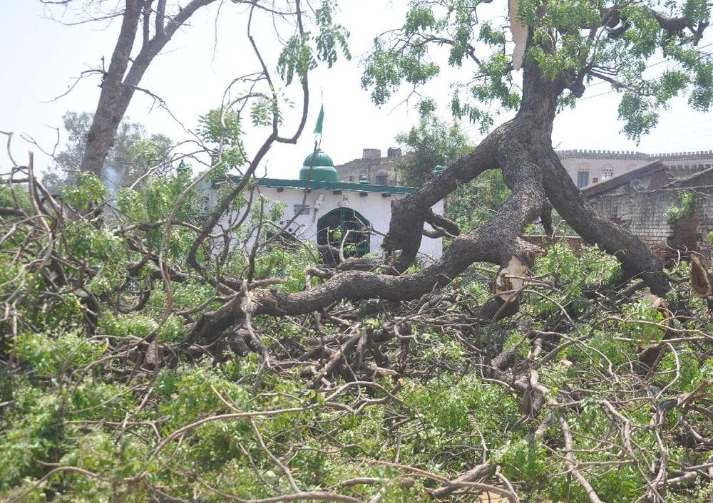 agra twenty four years ago came such a big storm 