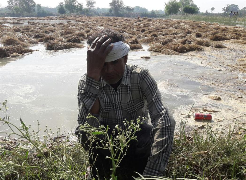 Rajewahi track, 200 bigha wheat crop submerged