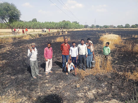 40 bigha crop burnt, cut off short circuits