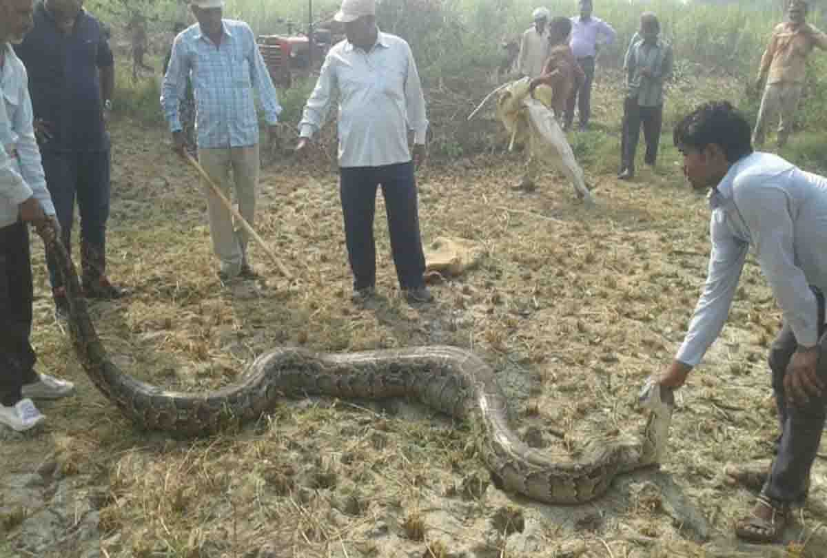 Five Big incidents of Unnao district