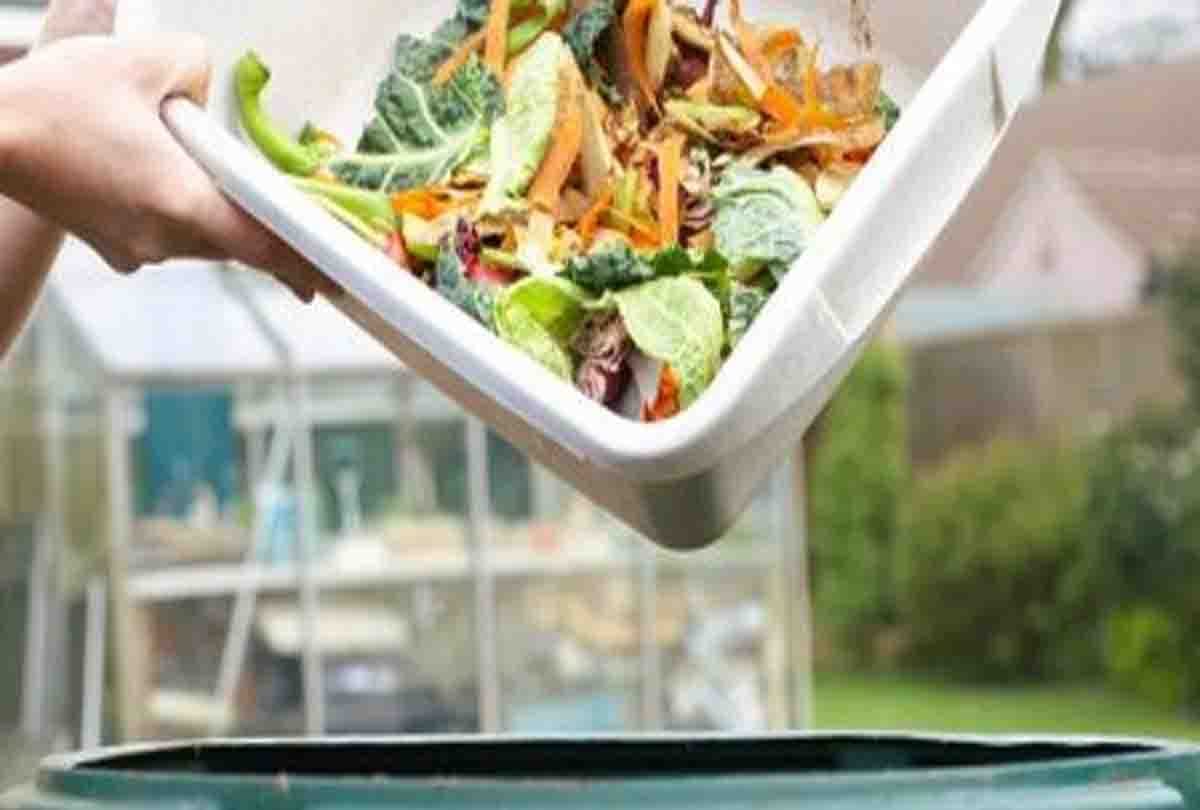 CNG will be made from vegetable and fruit