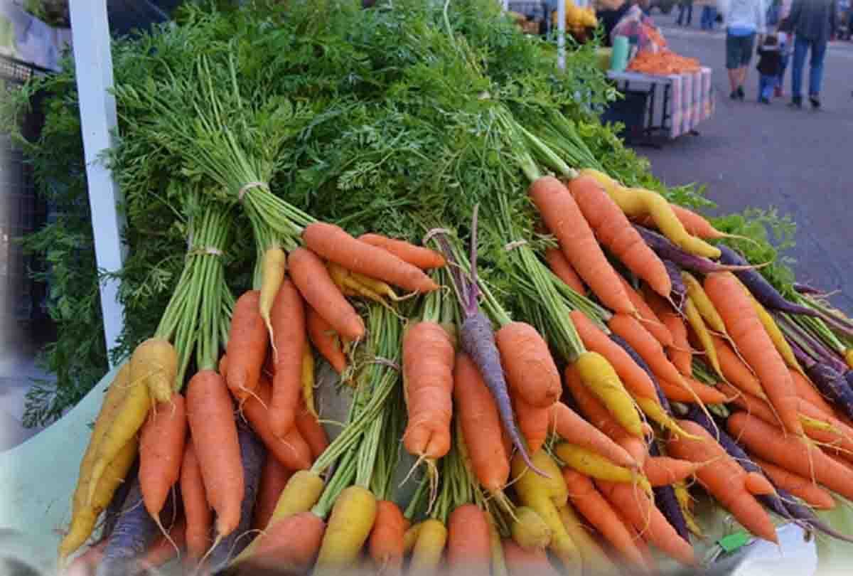 CNG will be made from vegetable and fruit