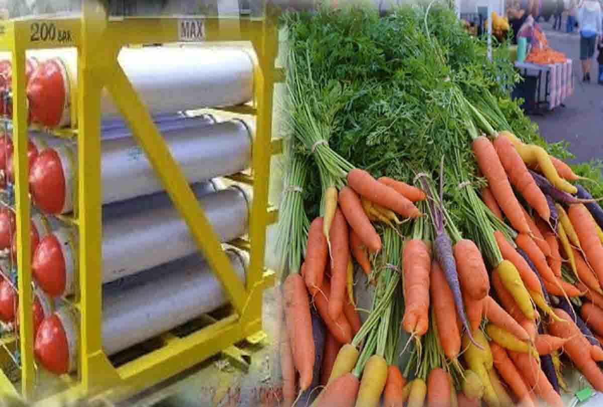 CNG will be made from vegetable and fruit