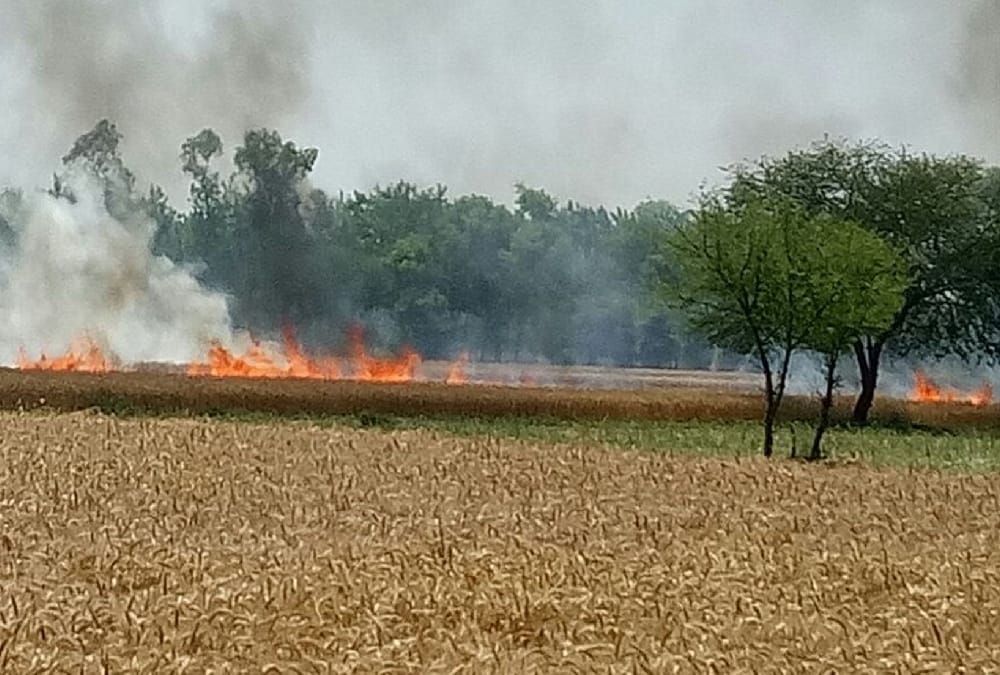 35 houses burnt in bahraich.
