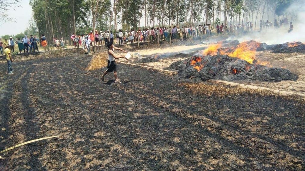 fire burnt houses and wheat crop