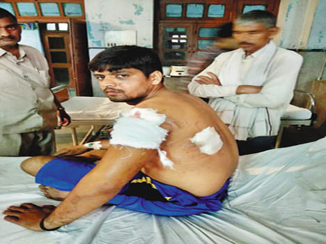 pellet shot, frayed, drowned