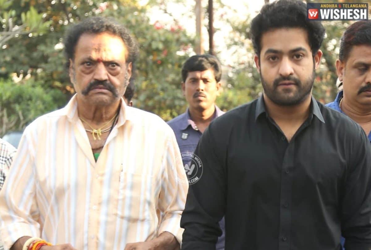 NTR biggest cutout