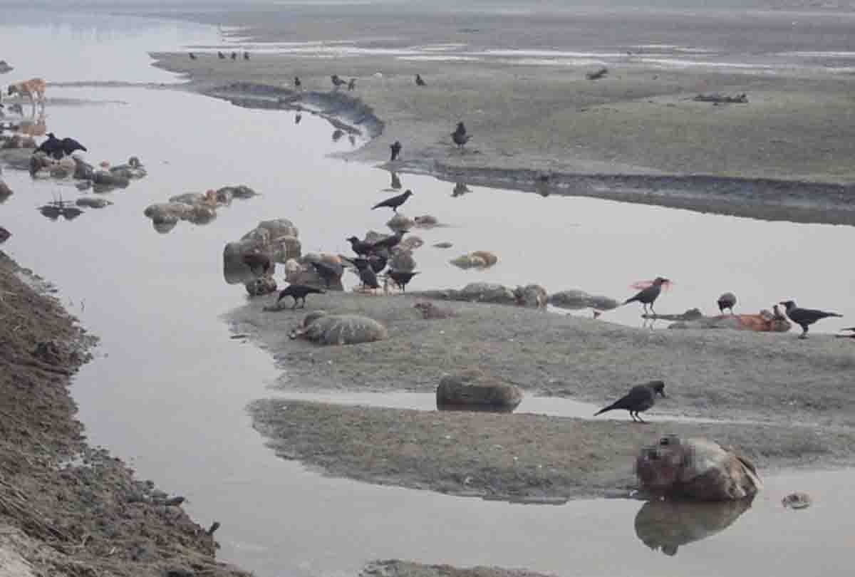 Five Big incidents of Unnao district
