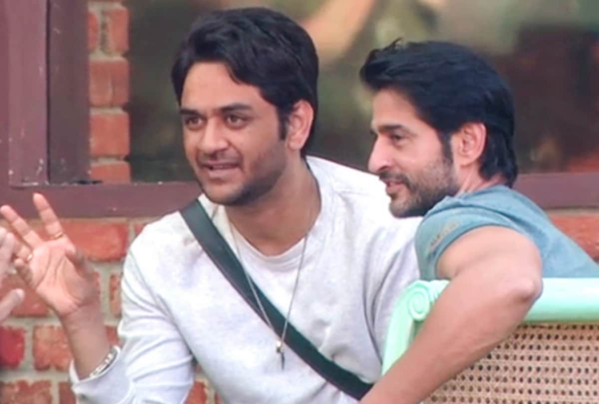 Bigg Boss ex contestant Vikas Gupata give a controversial statement on country
