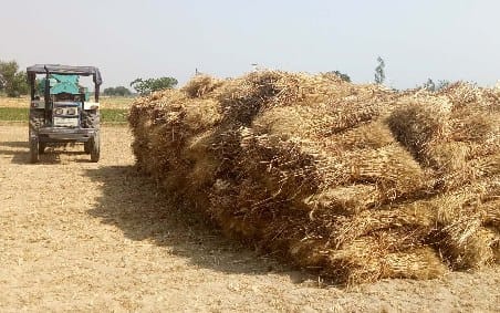 Wheat thrashing starts in Budaun