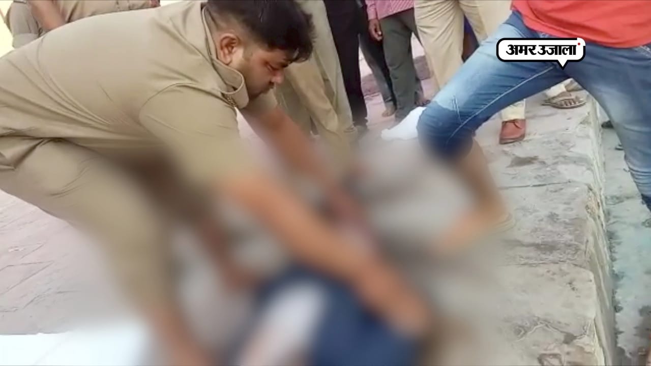 शव