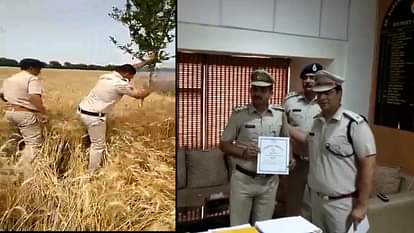 POLICEMEN AWARDED FOR SAVING CROPS FROM FIRE
