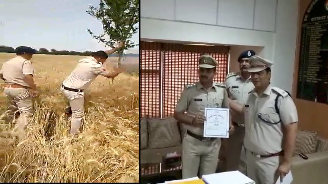फतेहाबाद