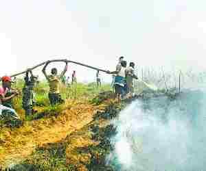 Fire breaks in Jungle