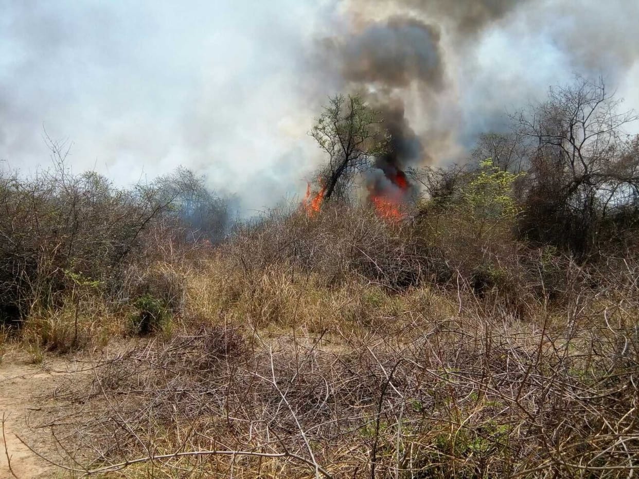 rain give relief form uttarakhand wildfire 