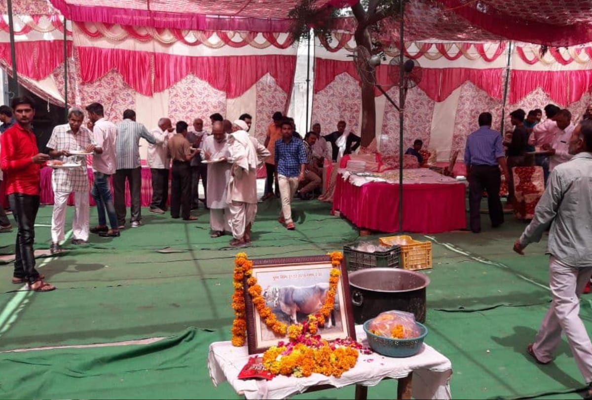 in up muradnagar family celebrates cow terahvi more than thousand people and bjp mla reach at feast