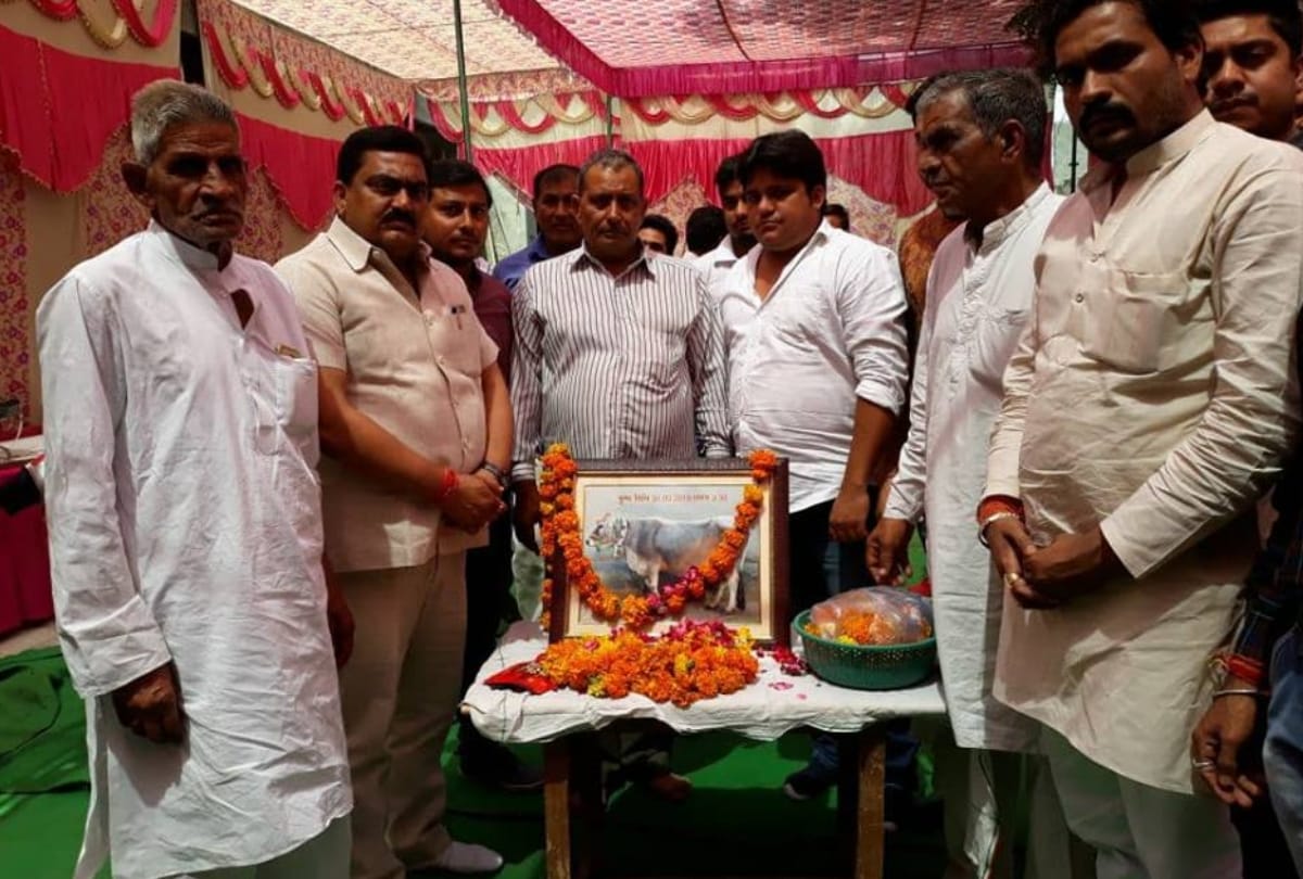 in up muradnagar family celebrates cow terahvi more than thousand people and bjp mla reach at feast