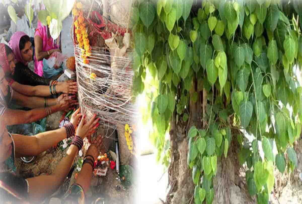 Somvati Amavasya 2018  Story