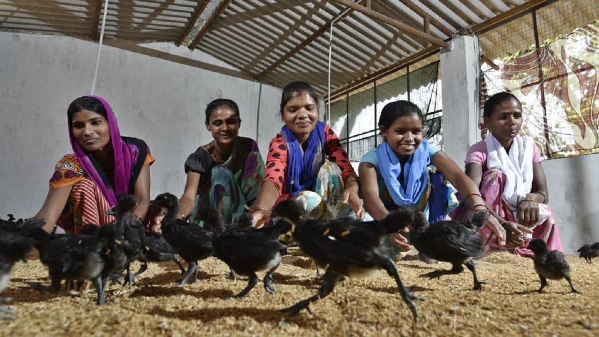 Chattisgarh: Kadaknath changed lives of womens in Dantewada after business