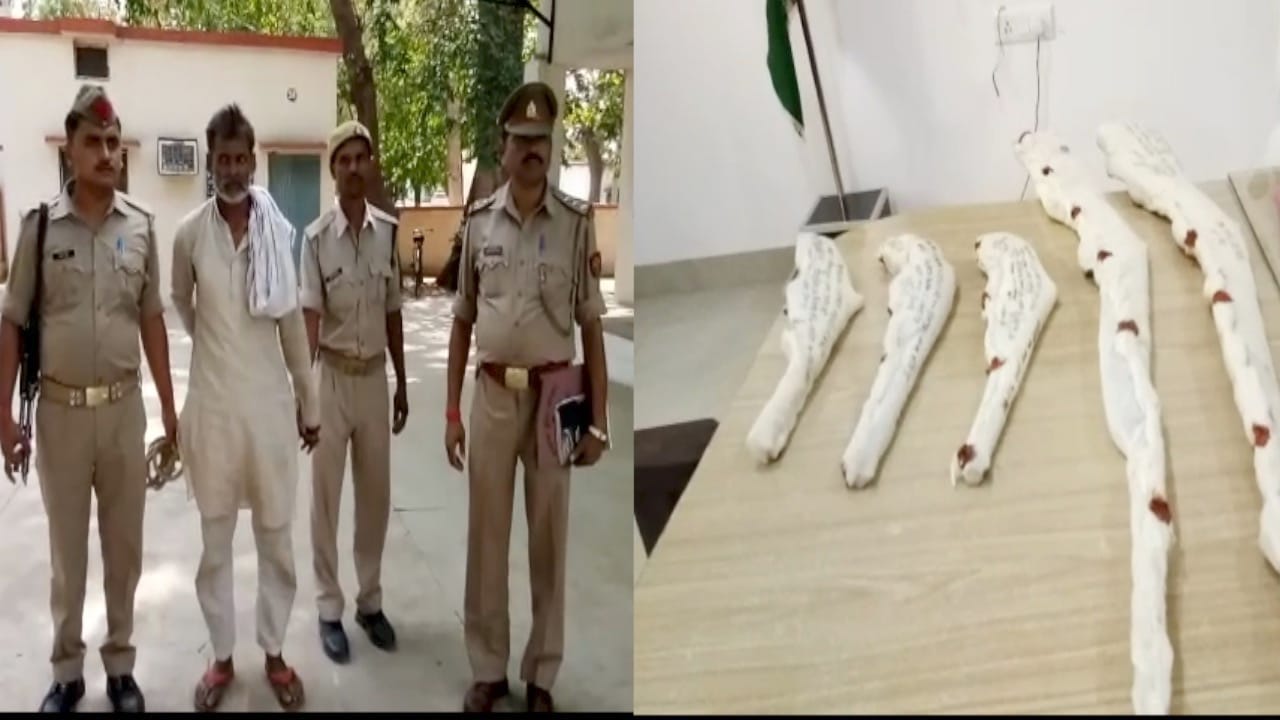 हमीरपुर हथियार