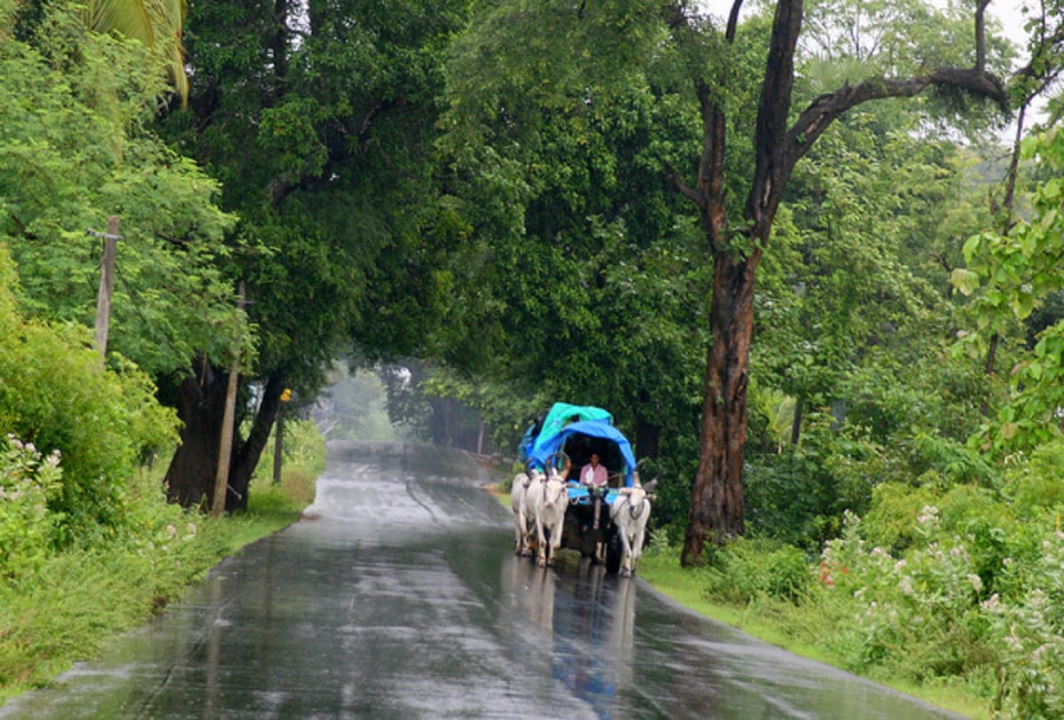 imd predicts normal monsoon for 2018, chances of drought unlikely