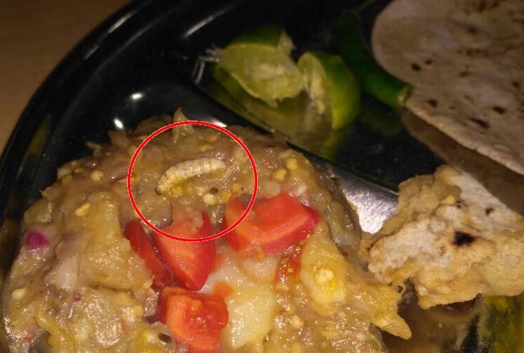 worm found in food of dr shakuntala misra university