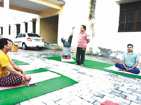 Yoga teaching from children to the elderly