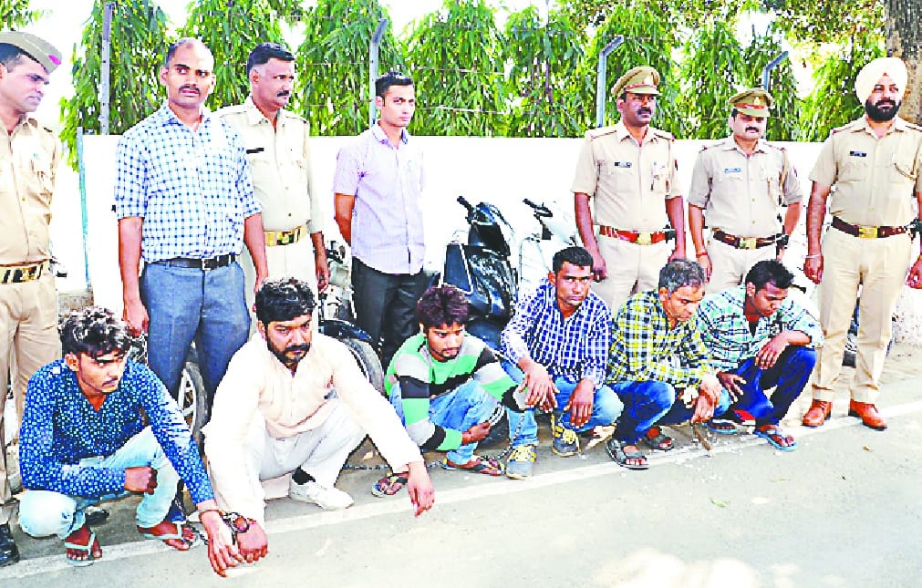 These crooks steal in minutes, bike-scooter