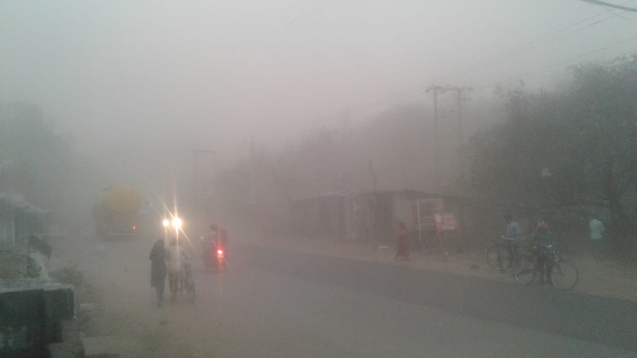 Tinshad flies, trees fall from storm