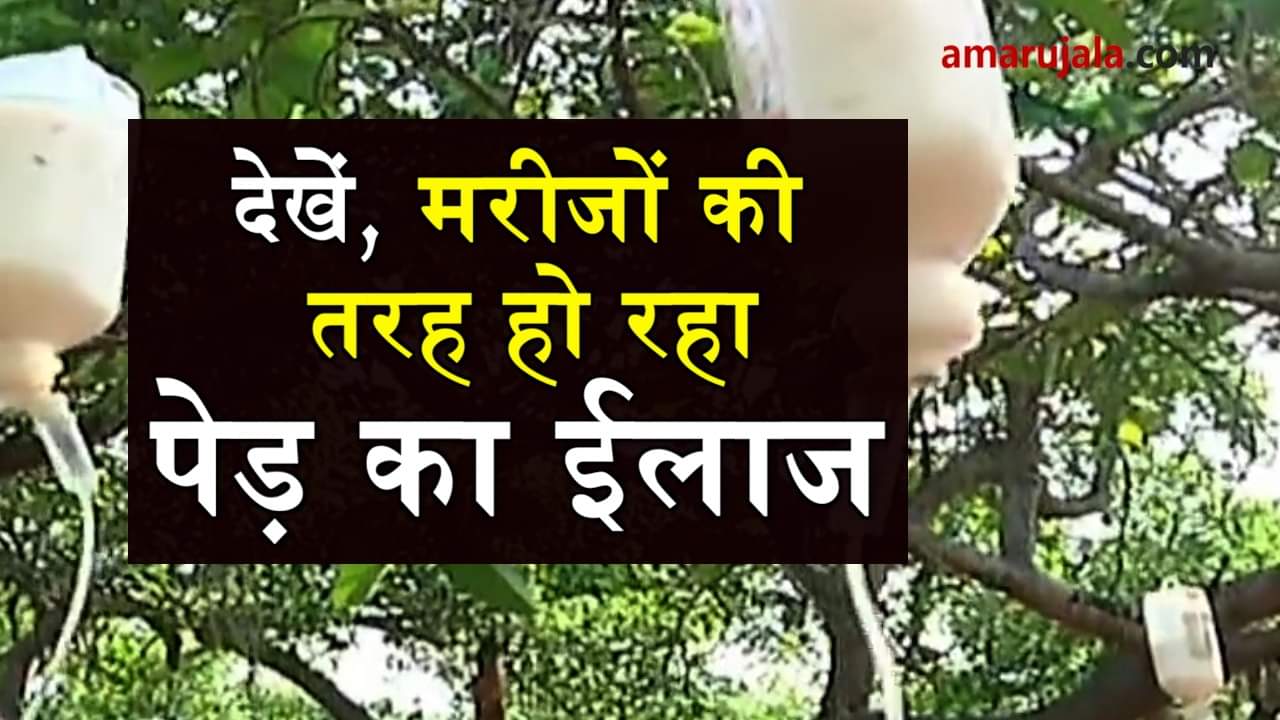 प्रतीकात्मक तस्वीर