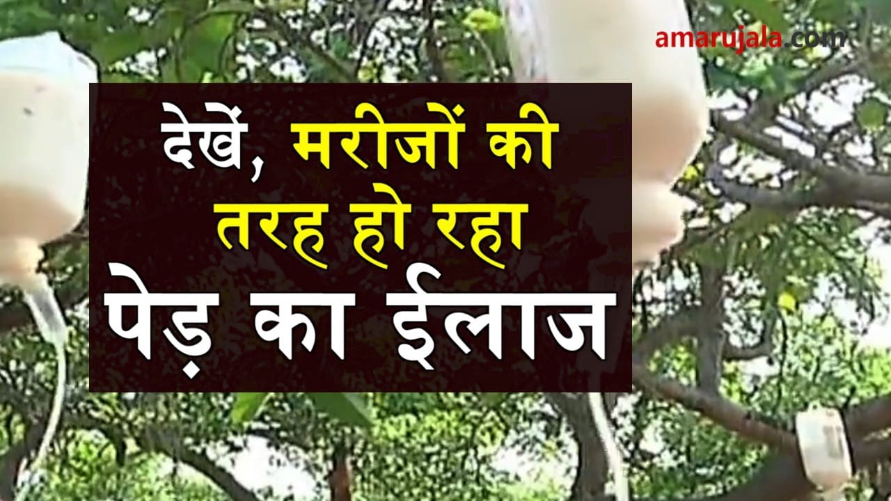 प्रतीकात्मक तस्वीर
