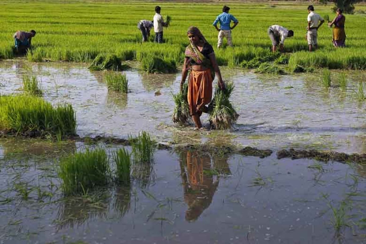 death because of weather in awadh.