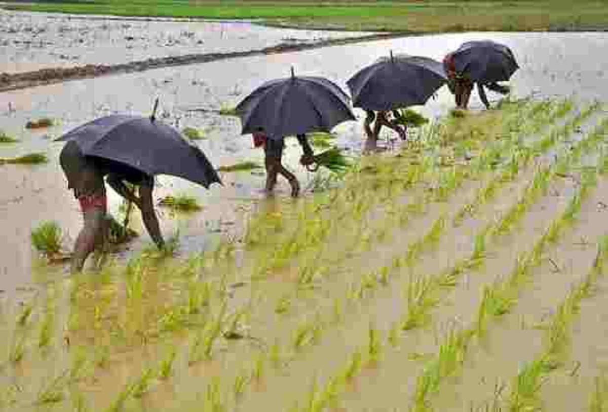 Indian meteorologic department forecast rain and dust storm 