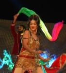 भाेजपुरी नाइट में कलाकारों ने जलवा बिखेरा।