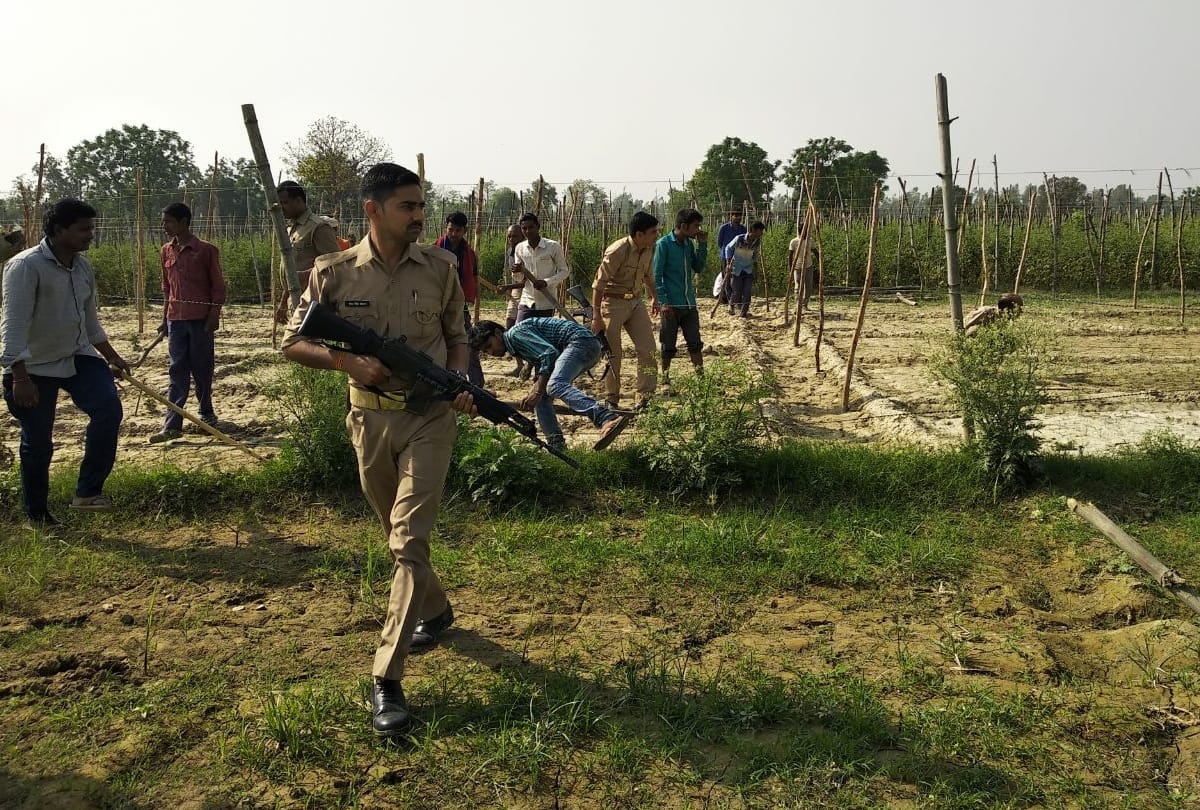 tiger entered in the populated area of gonda