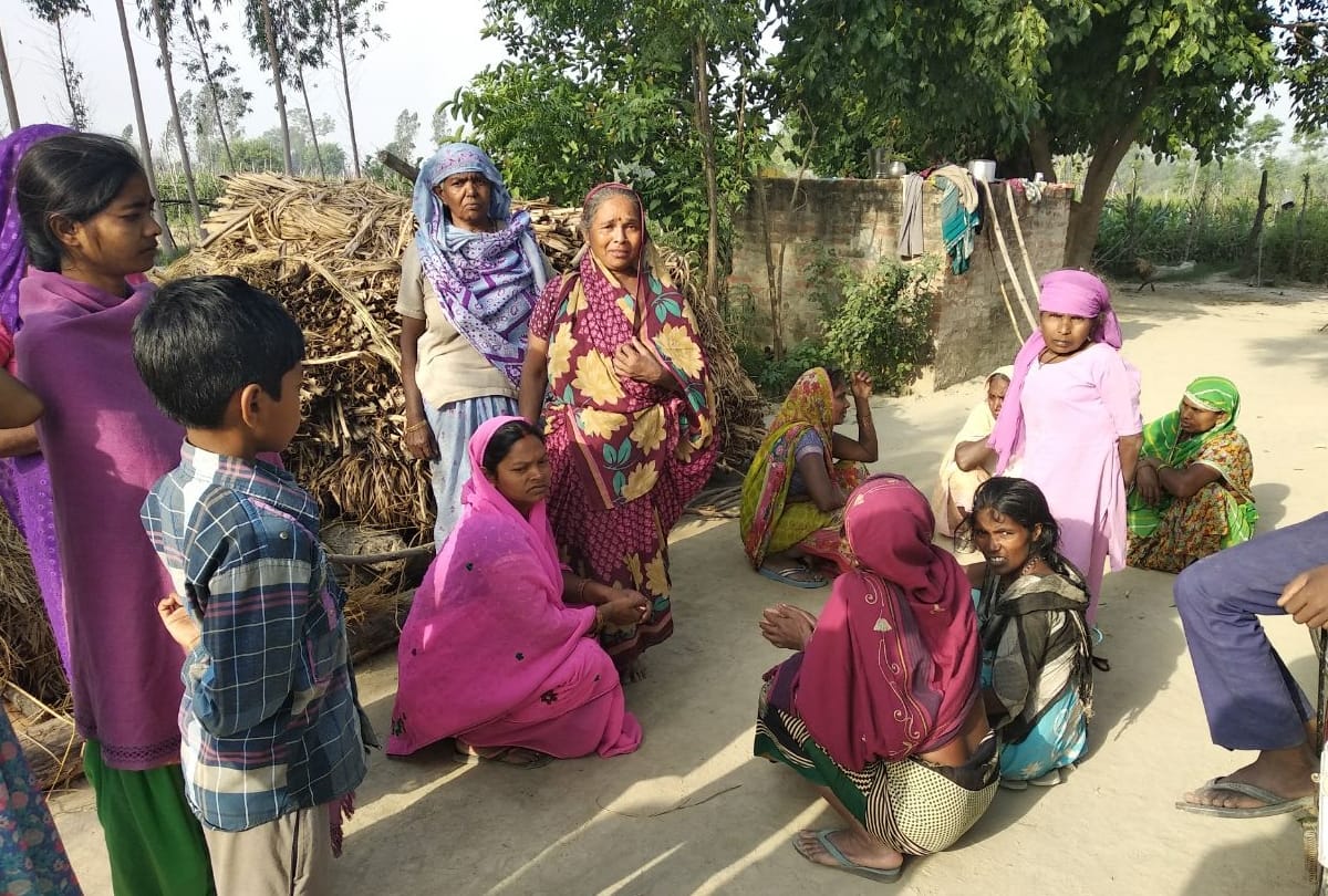 tiger entered in the populated area of gonda