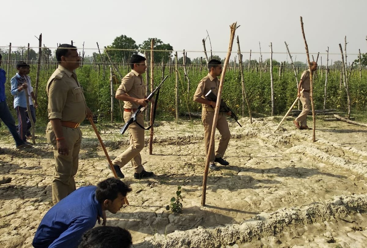 tiger entered in the populated area of gonda