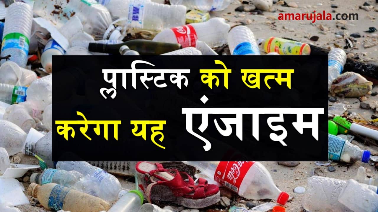 enzymes will destroy plastic