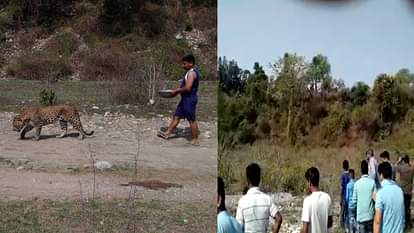INJURED LEOPARD GETS GOOD TREATMENT BY LOCALS IN NAKRAUNDA DEHRADUN