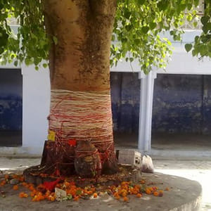 shani dev vakri chal solution make you Millionaire, Dehradun