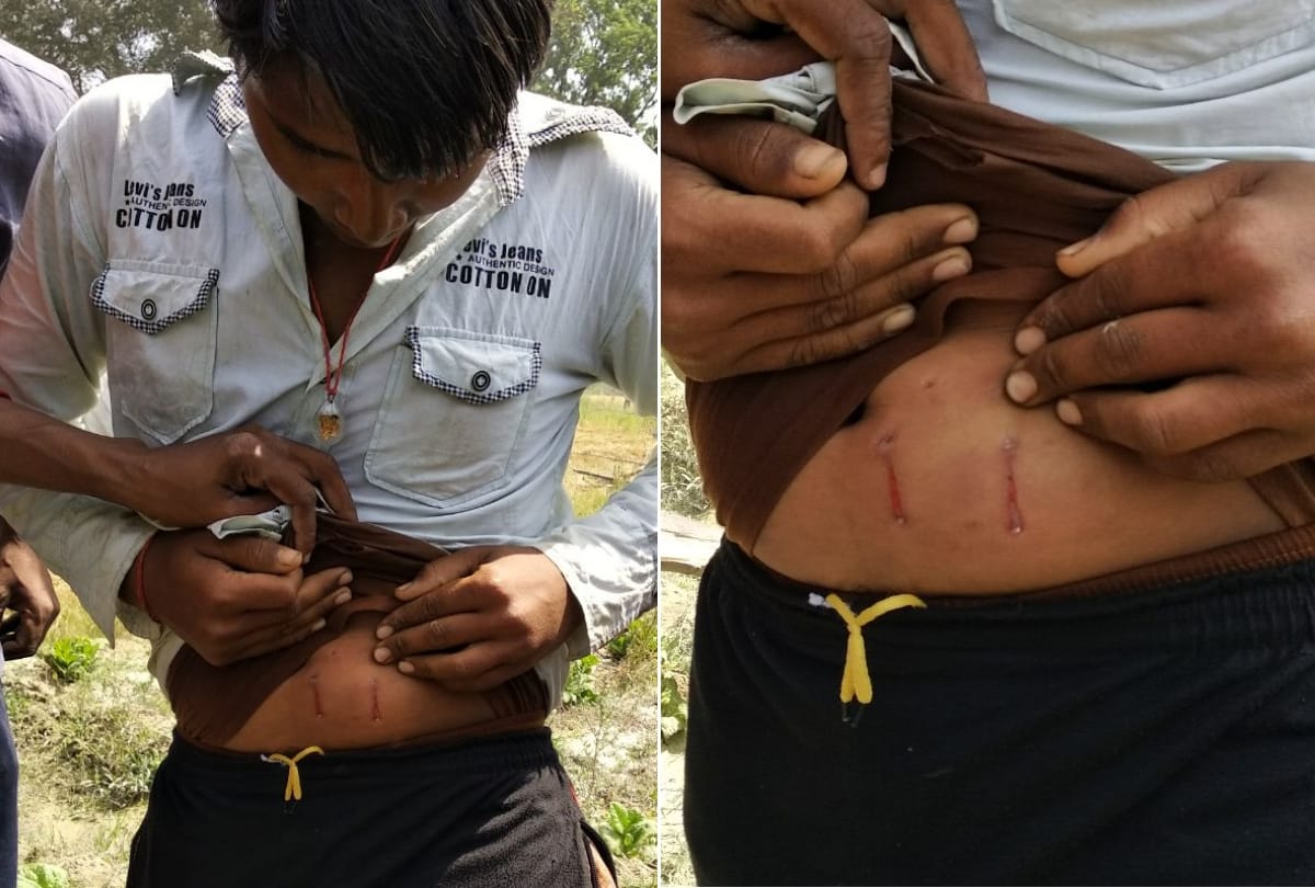 tiger entered in the populated area of gonda